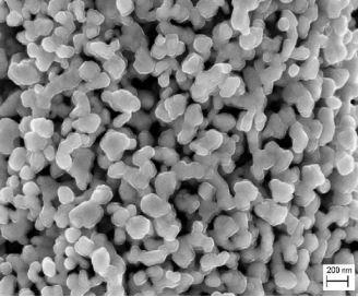 sem---wc-nanopowder-img